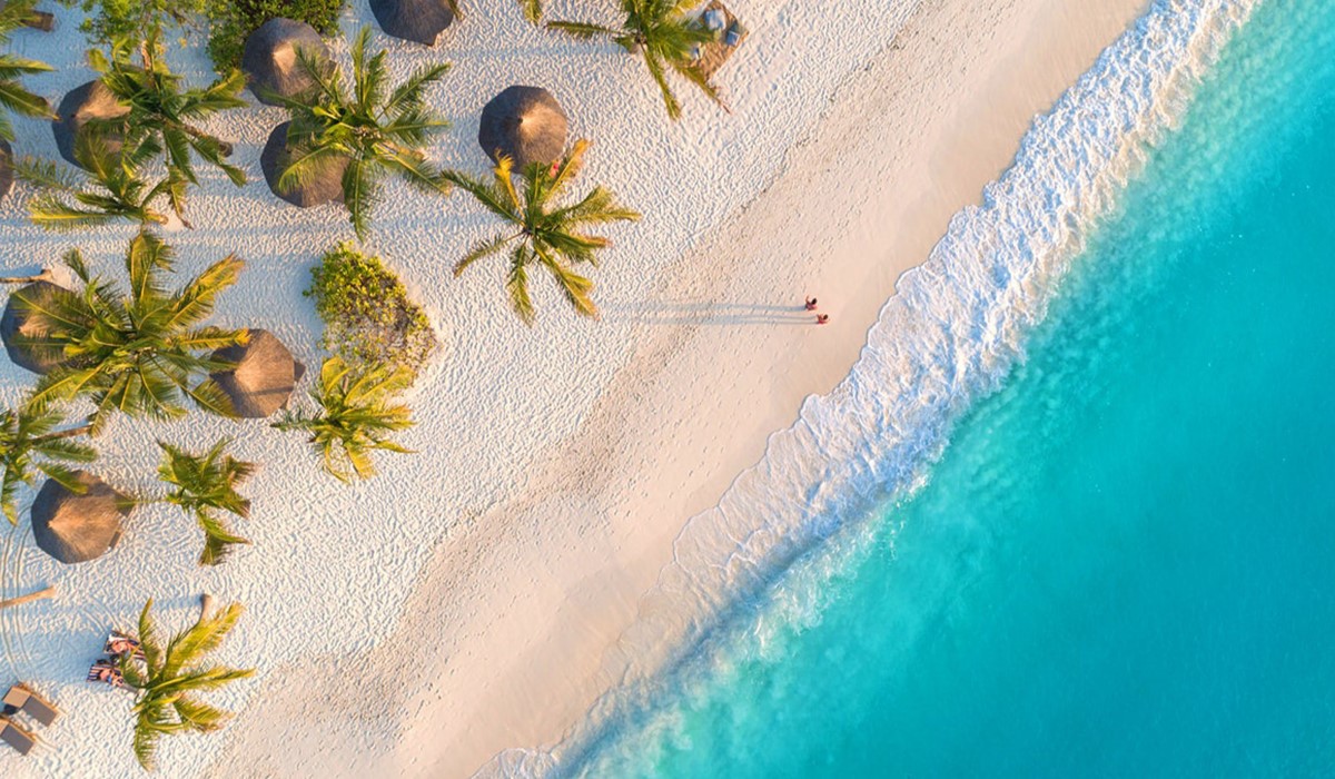 tanzania safari and zanzibar packages 